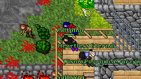 Zaltphor on screen