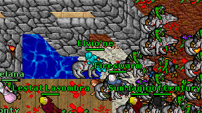 Elvio'ne on screen