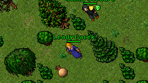 Leady Gacek on screen