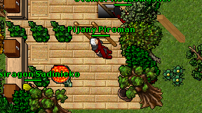 Pijany Piroman on screen
