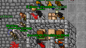 Devilish Druid on screen