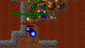 Suca Xald on screen