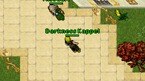 Darkness Kappel on screen