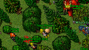 Nocibux on screen