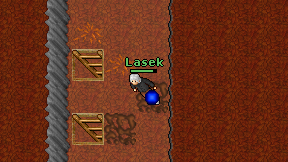 Lasek on screen
