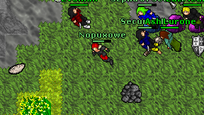 Nopuxowe on screen