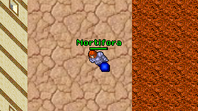 Mortifora on screen