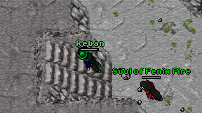 Reban on screen