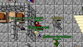 Licam on screen