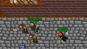 Engann on screen