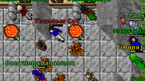 Thundeer Cat on screen