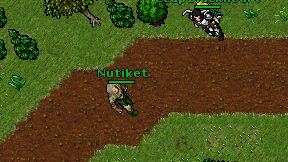 Nutiket on screen