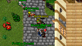 Orikanu on screen