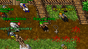 Royal'clow on screen