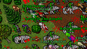 Severis The Knight on screen