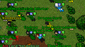 Dragon Sarii on screen