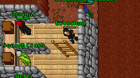 Estachua on screen