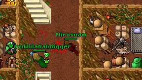 Mirosuaw on screen