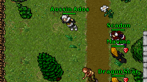 Aossin Ados on screen