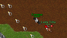 Casque on screen