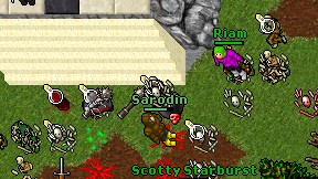 Sarodin on screen