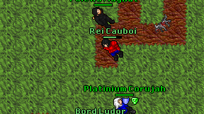 Rei Cauboi on screen