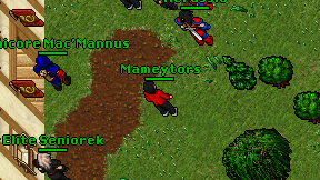 Mameytors on screen