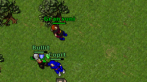 Gran suni on screen