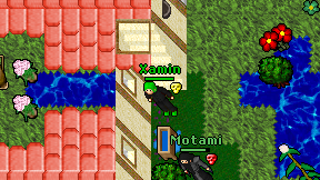 Xamin on screen