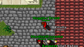 Huggles'Druid on screen