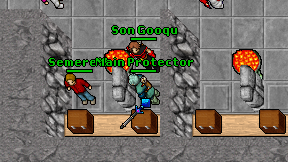 Main Protector on screen