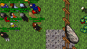 Kunajix on screen