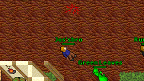 Green Leaves on screen