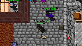 Fleschka on screen