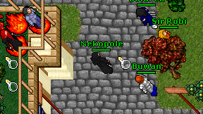 Nekopole on screen