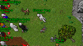 Elder Veg on screen