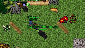 Gato-Chilenazo on screen