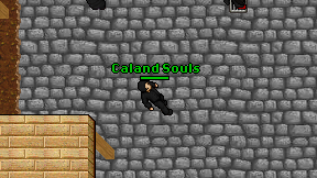 Caland Souls on screen