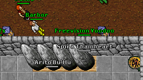 Freevision Voodoo on screen
