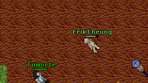 Erik Cheung on screen