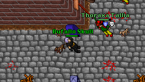Bufallo Skull on screen