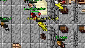 Raythions Druid on screen
