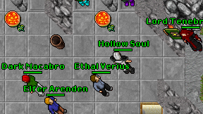 Hollow Soul on screen