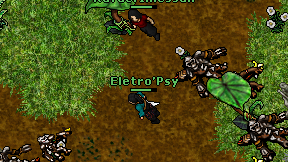 Eletro'Psy on screen