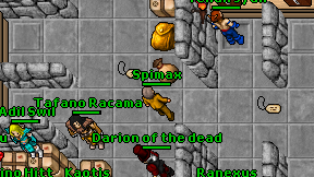 Spimax on screen