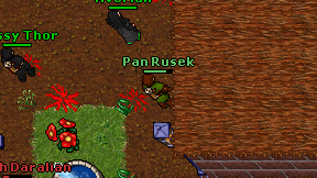 Pan Rusek on screen