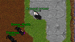 Rangel armor on screen