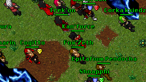 Kan'force on screen