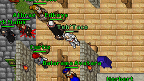 Teh'Taco on screen