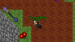 Storm'Rob on screen